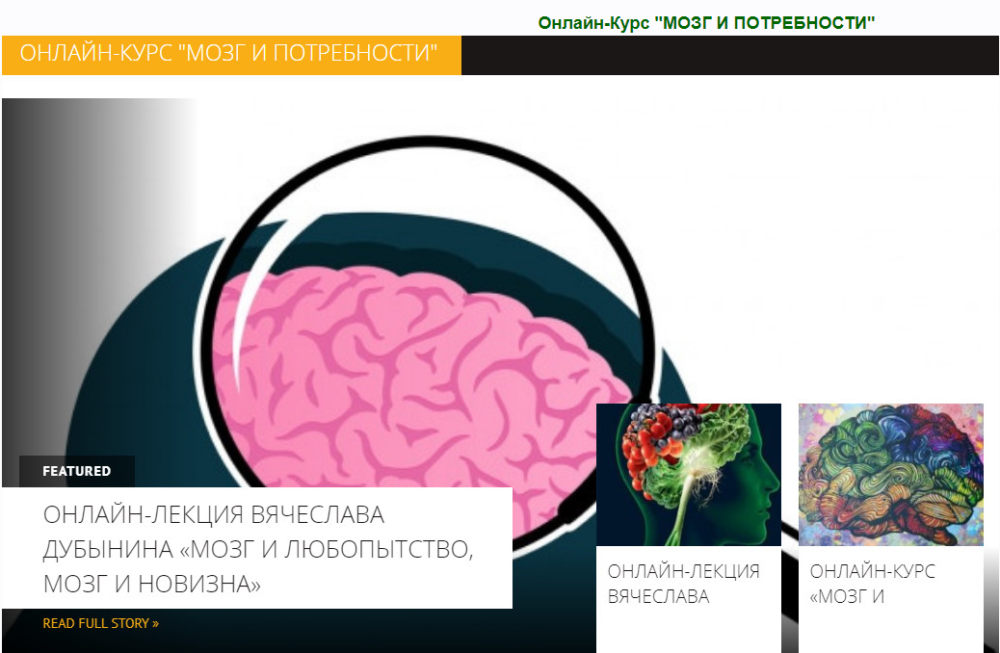 Потребности мозга. Дубынин мозг и потребности. Мозг и его потребности Дубынин книга.