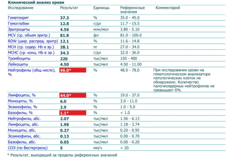 Интерпретация анализов. Интерпретация анализо. Миелоциты в анализе крови. Метамиелоциты в общем анализе крови. Миелоциты расшифровка анализ.