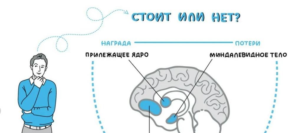 Москва нейрофизиология